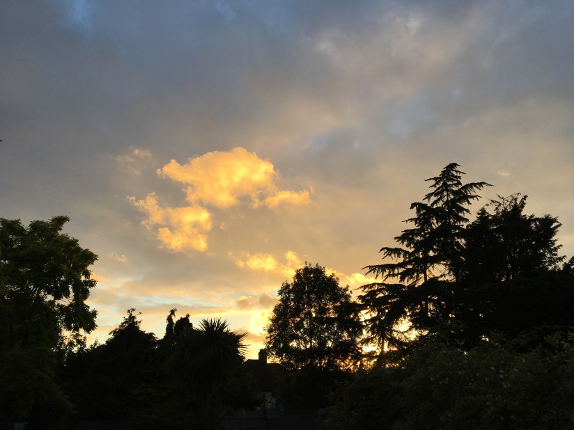 EAB1A564-2FD5-4E59-8D25-A963443B637F