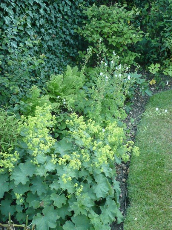 45F23AB1-7997-40F2-B4E5-67A0D16B0A49