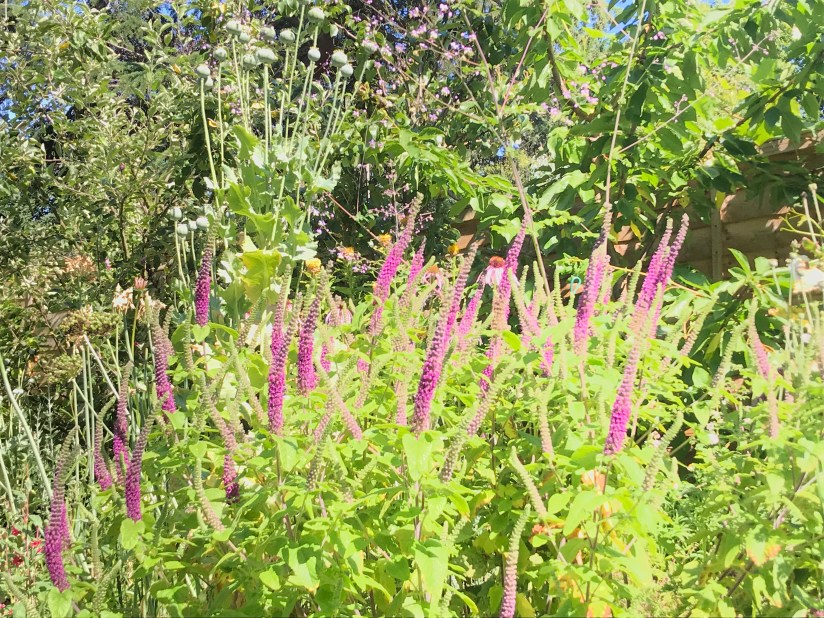 5D64399E-D139-46AC-A334-0431F4739AAD