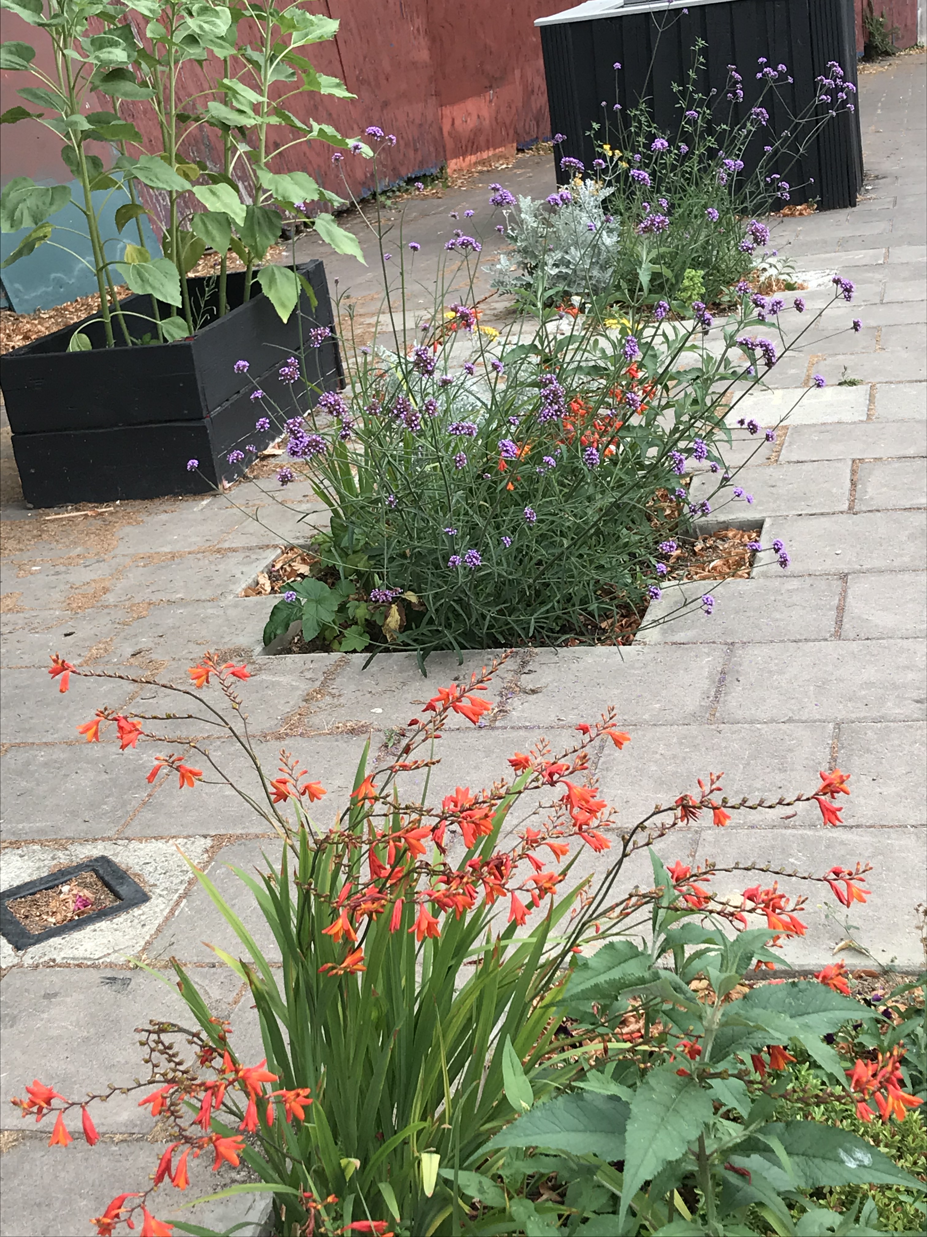 D7BC1F19-9E2D-4FE5-BB14-F36B1A6F50E8