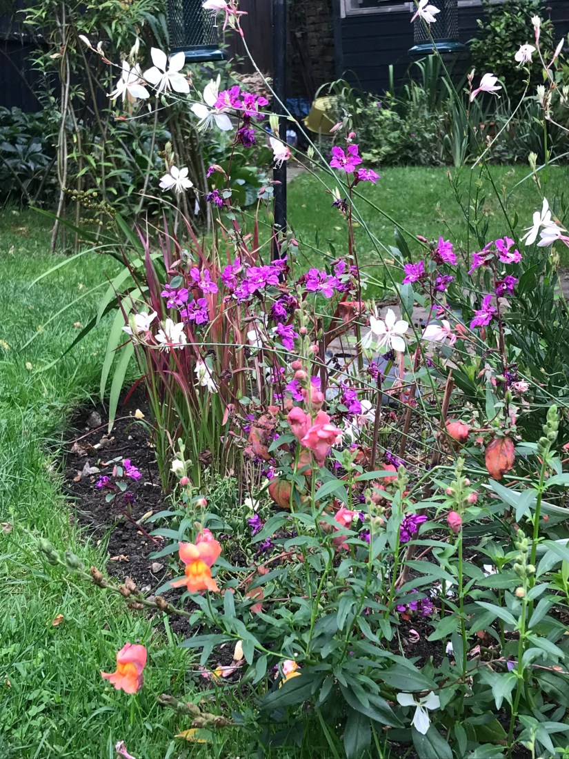 8B585B8C-63A0-46F6-A355-C2D854EA0CC7