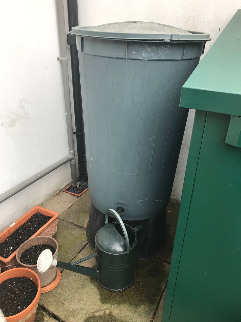 EA6C7338-C3DD-45C1-9DEA-2D4C6CFBF38F