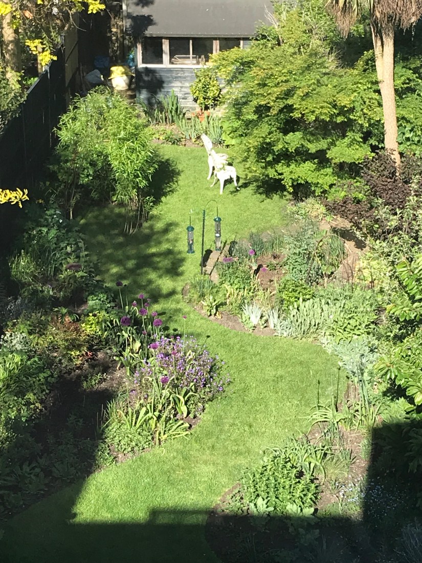 BDC81977-C56C-43AC-949F-E17892D0CE5D