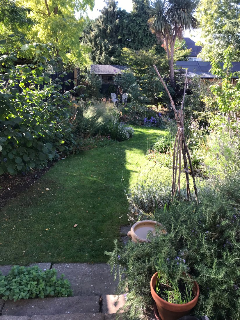 D1A1CD7D-2A99-440D-8662-35959DE0013B