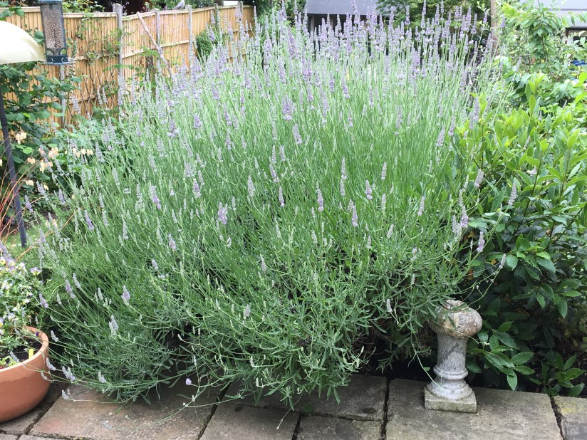 41357C4D-2B73-4037-B963-42694EA7167D