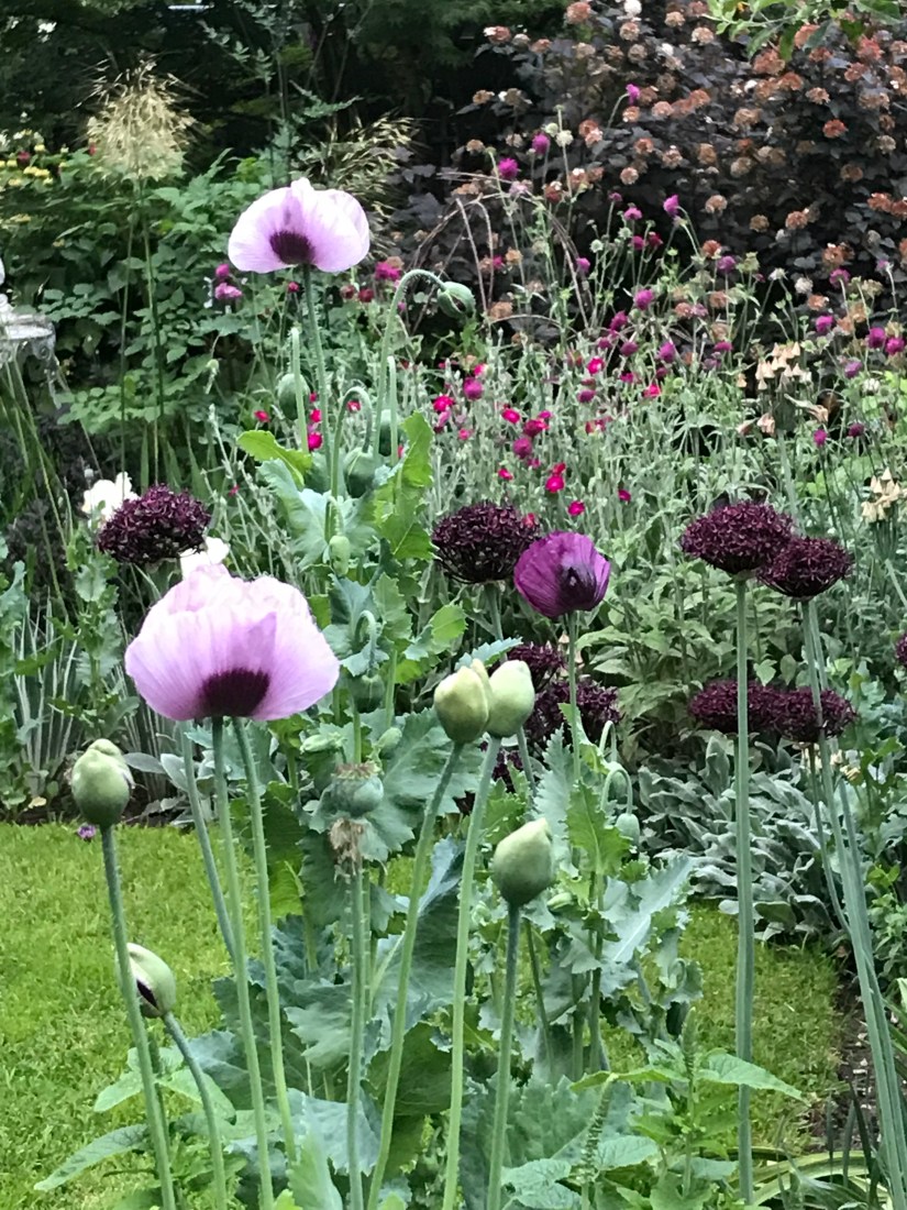 DE8D29F4-371E-4C16-A75F-3048BBCB4ED1