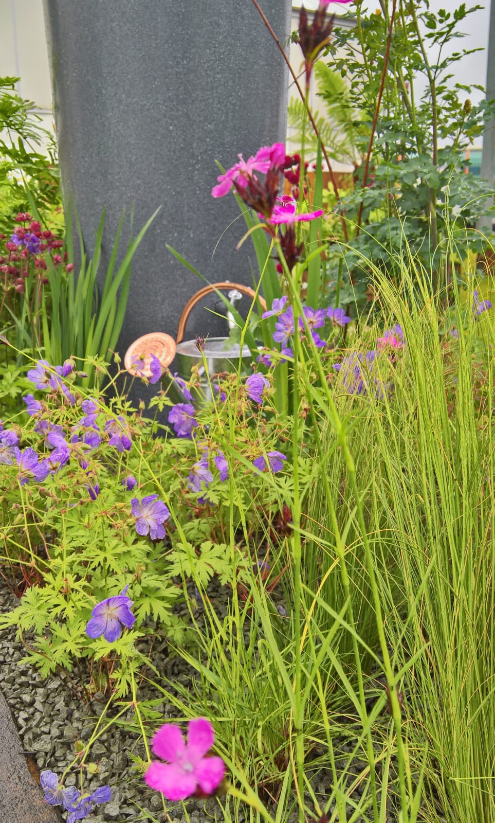 Stipa tennuisima, Dianthus carthusianorum and Geranium Orion